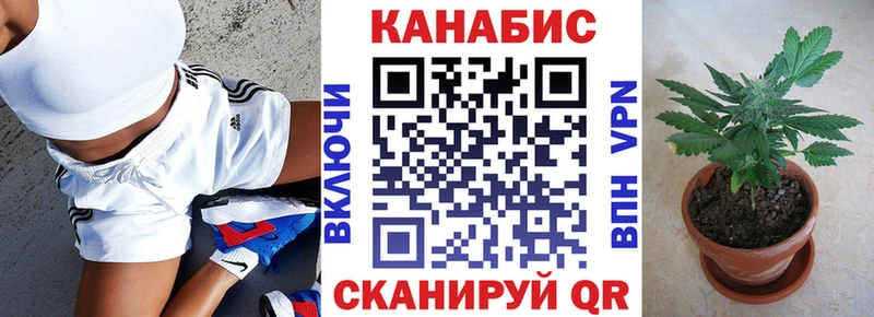 Где купить наркотики Волгодонск KRAKEN как зайти  ГАШИШ  Alpha-PVP  Псилоцибиновые грибы  Канабис  COCAIN 