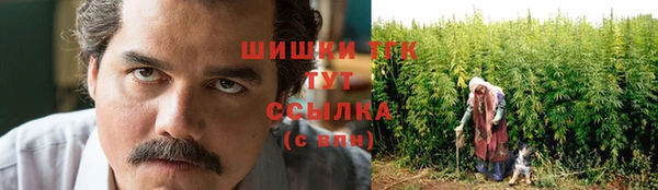 шишки Алексин