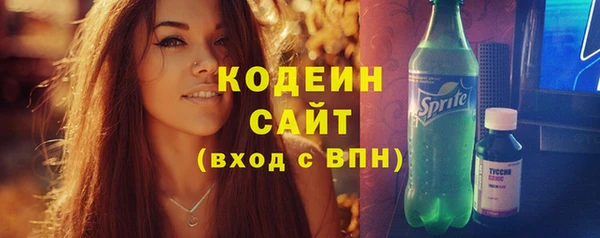 шишки Алексин