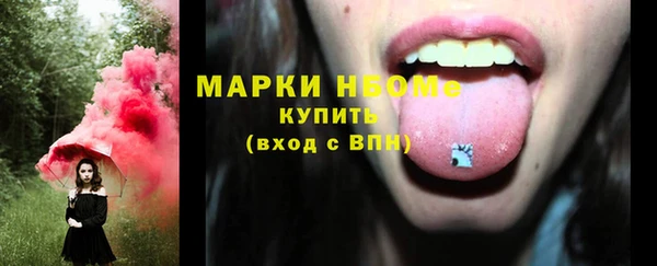 шишки Алексин