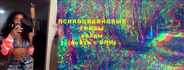 дурь Алзамай